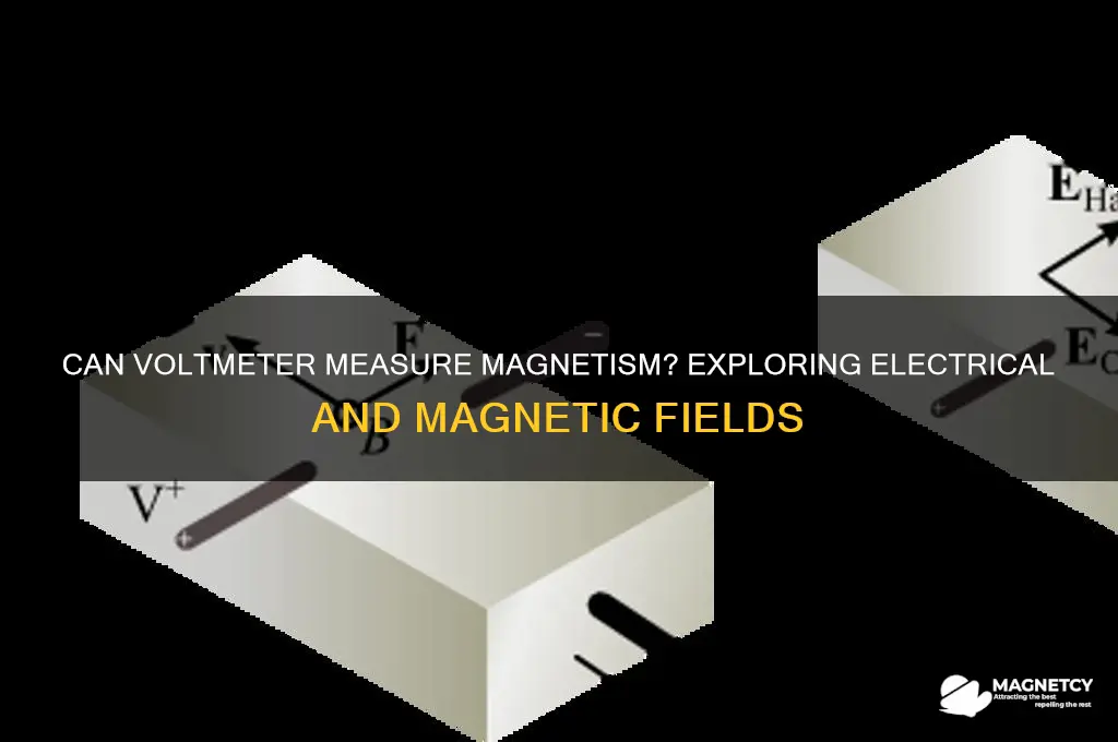 can a voltmeter measure magnetism