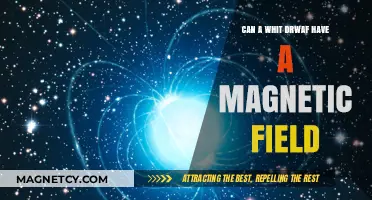 Do White Dwarfs Generate Magnetic Fields? Exploring Stellar Mysteries