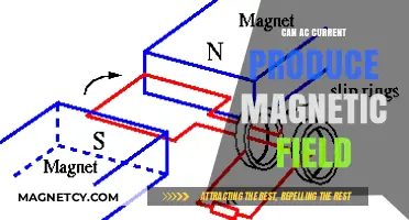 Can AC Current Generate Magnetic Fields? Exploring Electromagnetic Principles