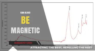 Exploring Al2O3 Magnetism: Can Aluminum Oxide Exhibit Magnetic Properties?