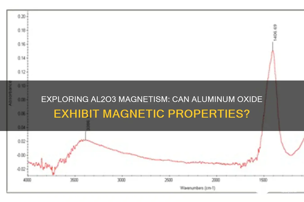can al2o3 be magnetic