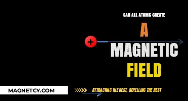 Do All Atoms Generate Magnetic Fields? Exploring Atomic Magnetism