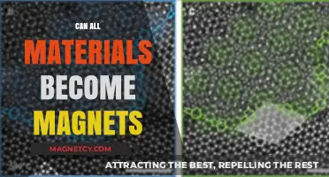 Exploring Magnetism: Can All Materials Be Transformed into Magnets?