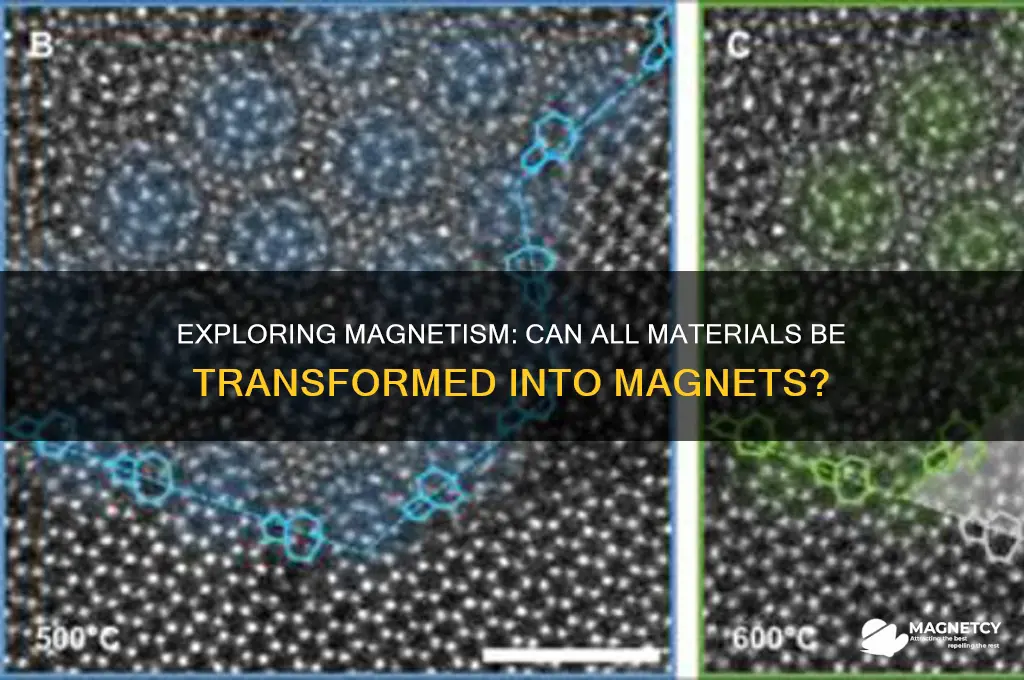 can all materials become magnets
