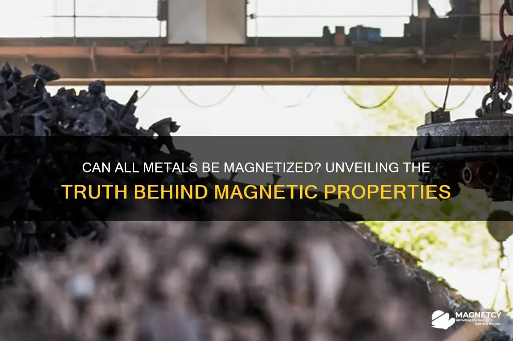 can all metals be magnetized