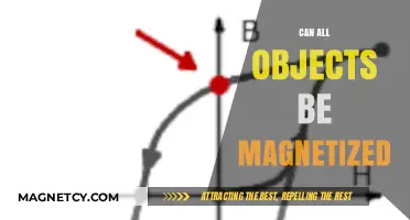 Can Any Object Become Magnetic? Exploring Material Magnetization Possibilities