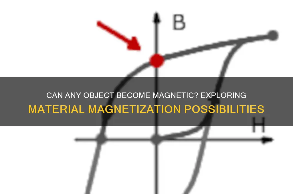 can all objects be magnetized