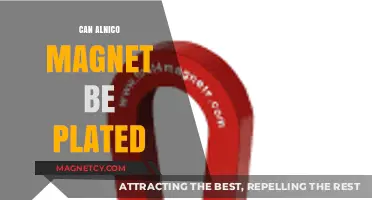 Can Alnico Magnets Be Plated? Exploring Surface Coating Options