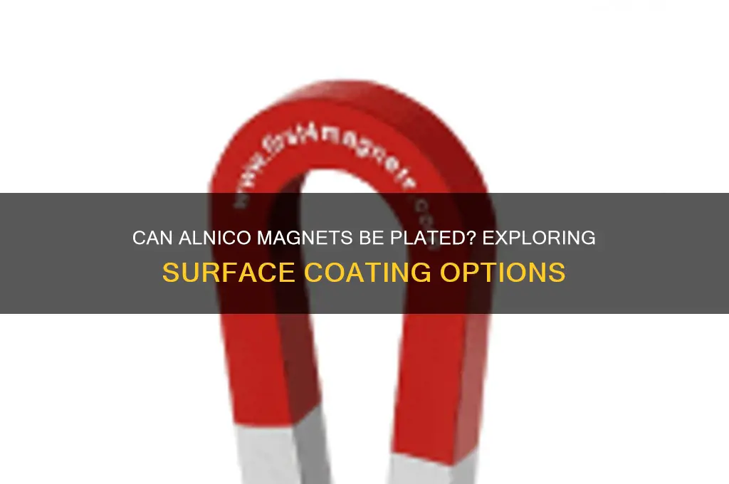 can alnico magnet be plated