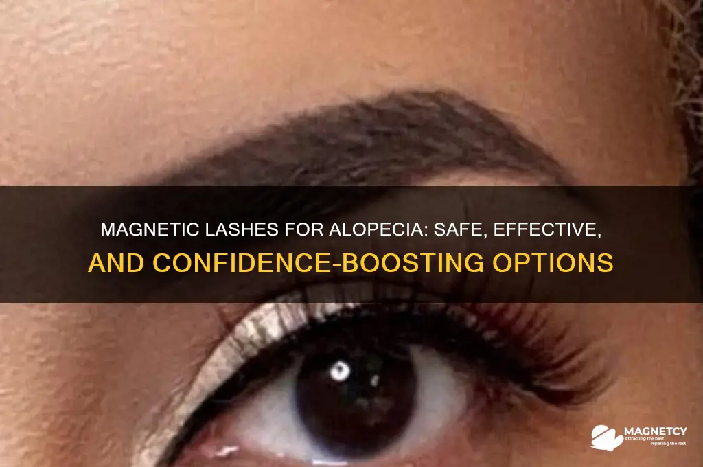 can alopecia patients use magnetic lashes