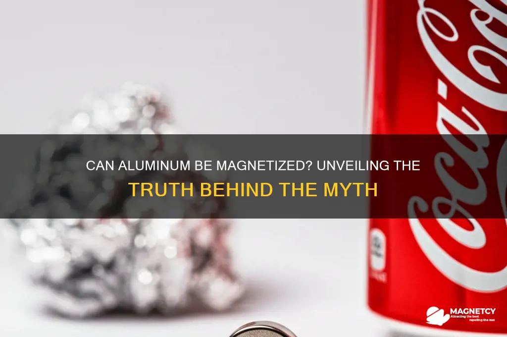 can aluminium be magnetized