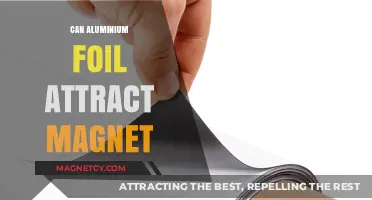 Does Aluminum Foil Attract Magnets? Unveiling the Magnetic Truth