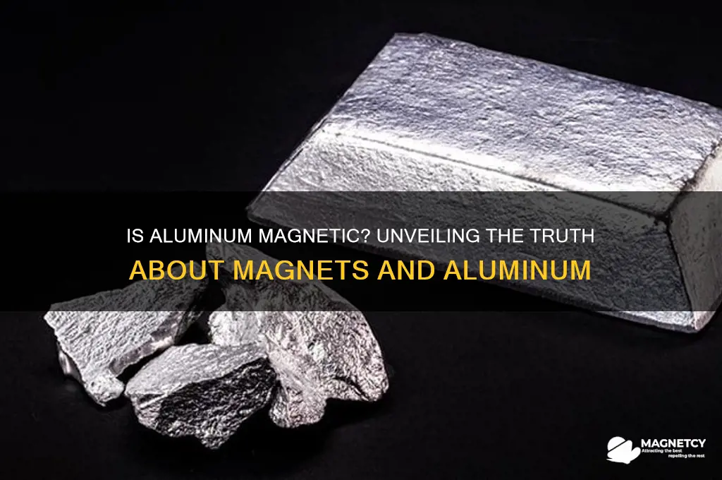 can aluminum be attracted by a magnet