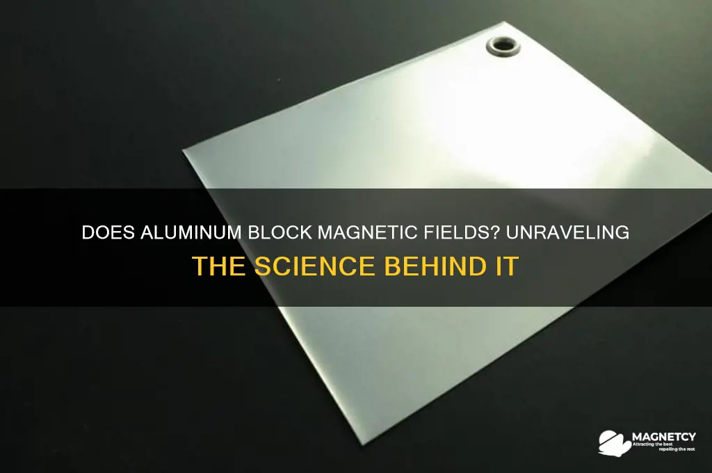 can aluminum block a magnet