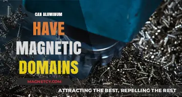 Exploring Aluminum's Magnetic Properties: Do Domains Exist in This Metal?