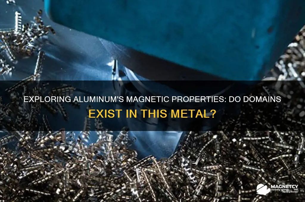 can aluminum have magnetic domains