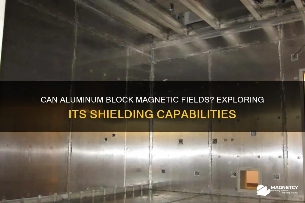 can aluminum shield magnetic field