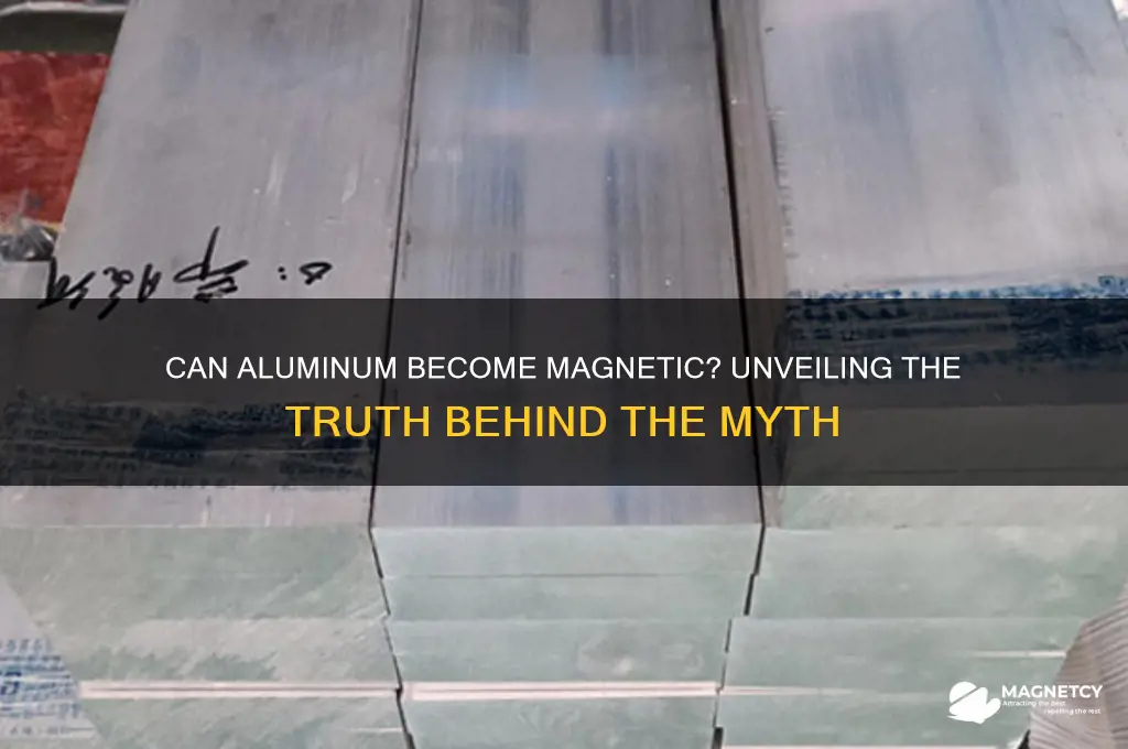 can aluminum turn into a magnet