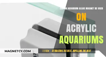 Using Aquarium Algae Magnets Safely on Acrylic Tanks: What You Need to Know