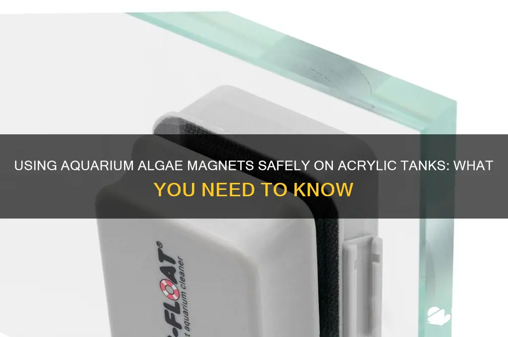 can an aquarium algae magnet be used on acrylic aquariums