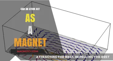 Can Atoms Behave as Magnets? Exploring Atomic Magnetism