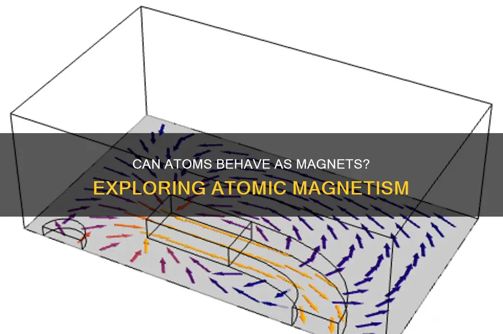 can an atom act as a magnet