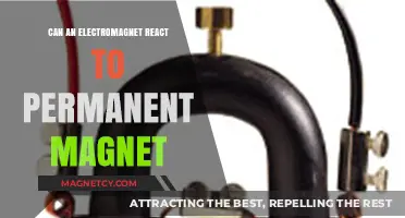 Electromagnet vs. Permanent Magnet: Interaction and Reaction Explained