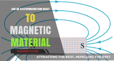 Electromagnetism and Magnetic Materials: Interactions and Reactions Explained