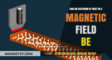 Can a Stationary Electron in a Magnetic Field Exhibit Motion?