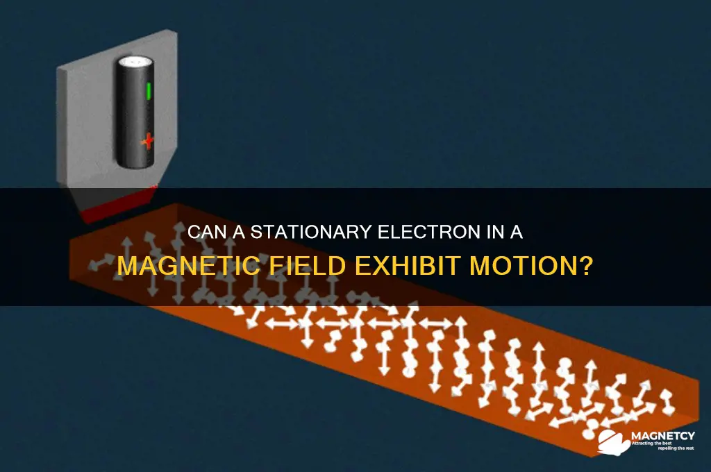 can an electron at rest in a magnetic field be