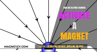 Can Electric Charges Activate Magnets? Exploring the Science Behind It