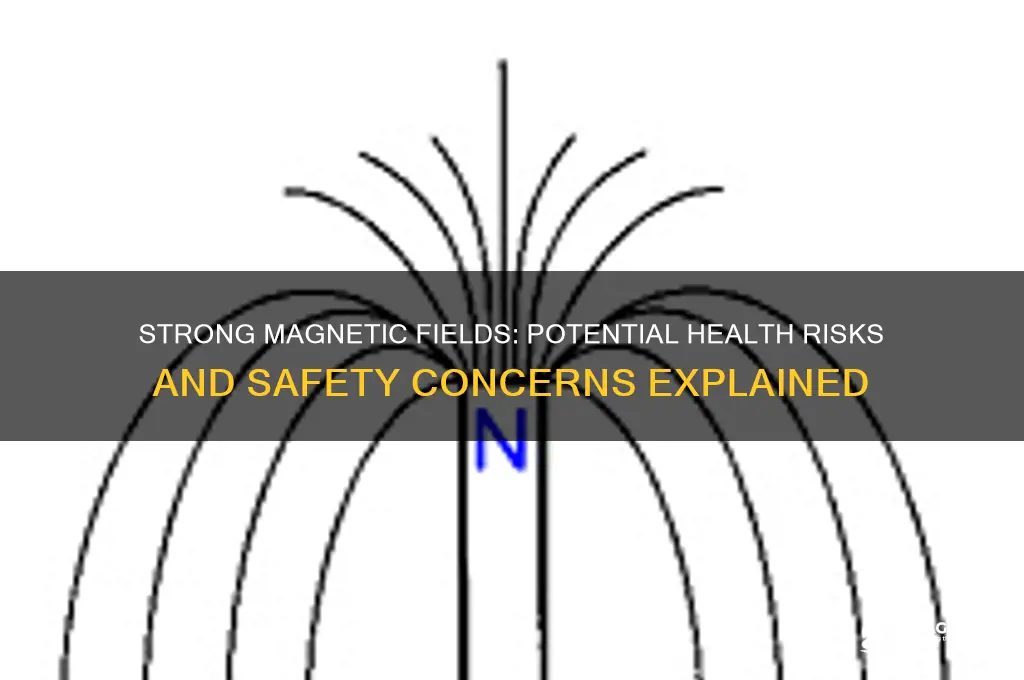 can an extremely strong magnetic fields be harmful