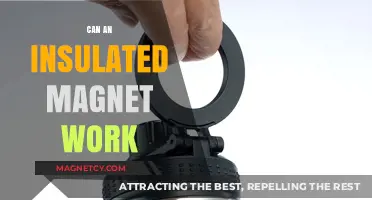 Can Insulated Magnets Function Efficiently? Exploring Magnetic Insulation