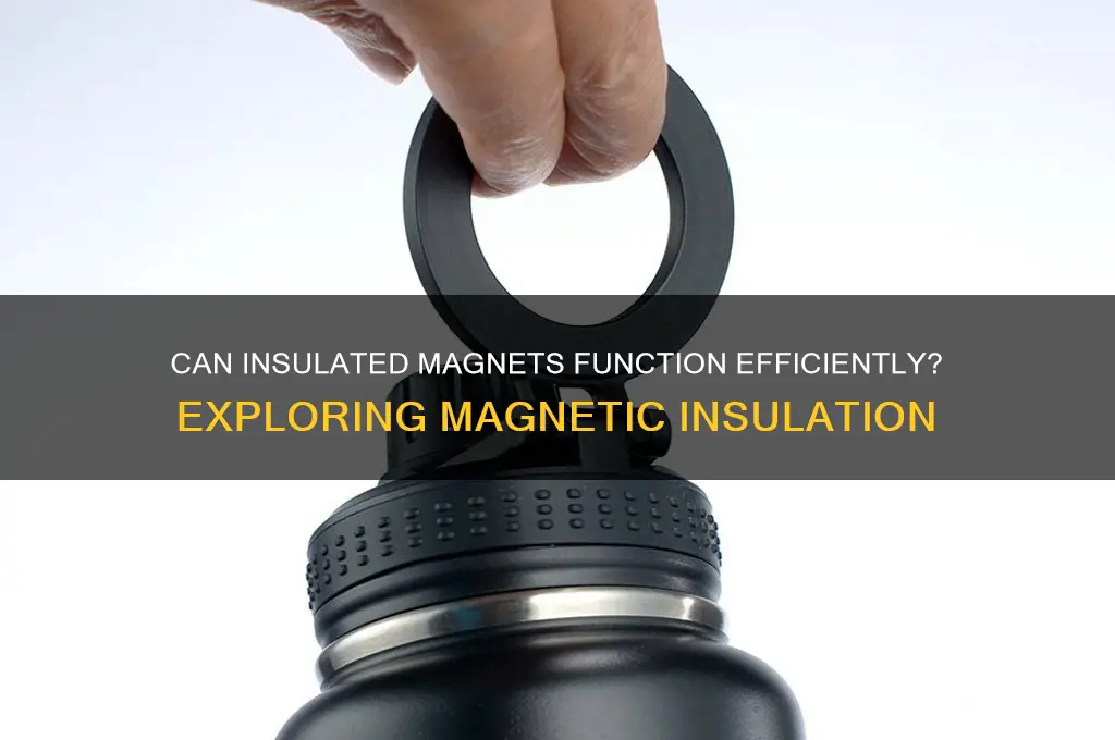 can an insulated magnet work
