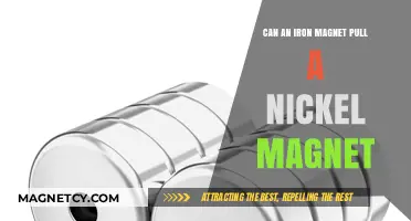 Iron vs. Nickel Magnets: Can They Attract Each Other?