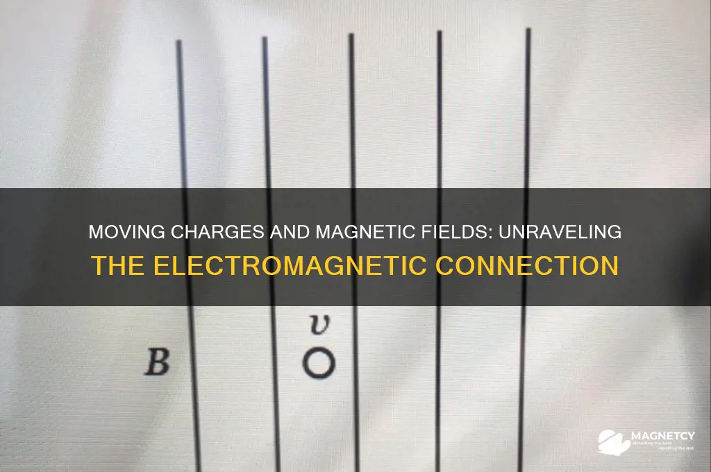 can an magnetic field be generated by a moving charge