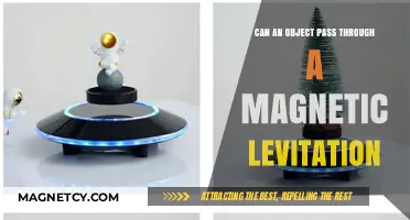 Magnetic Levitation: Can Objects Truly Defy Gravity and Pass Through?
