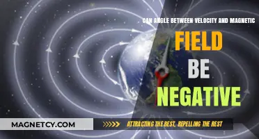 Can the Angle Between Velocity and Magnetic Field Be Negative?