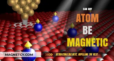 Can Any Atom Be Magnetic? Unveiling the Science Behind Magnetism