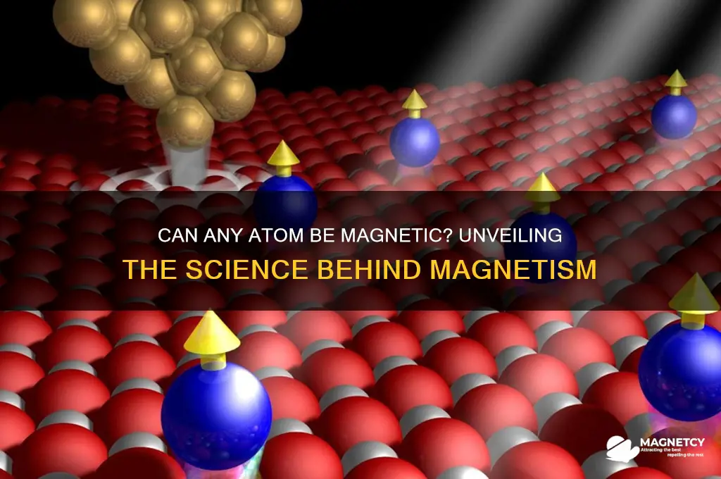 can any atom be magnetic