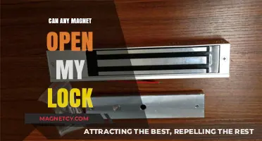 Can Any Magnet Unlock My Lock? Exploring Magnetic Security Risks