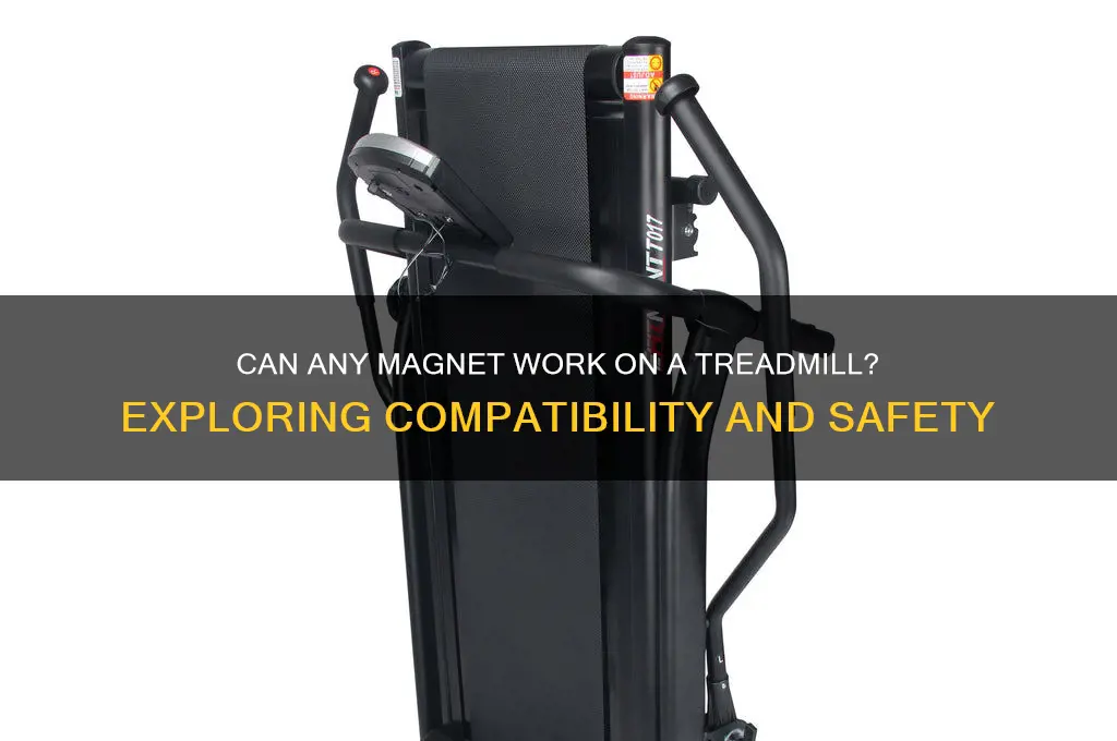 can any magnet work on treadmill