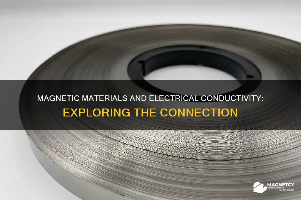 can any magnetic materials conduct electricity
