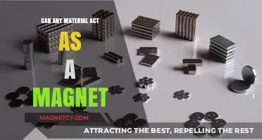 Exploring Magnetism: Can Everyday Materials Become Magnetic?