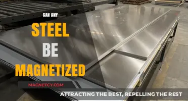 Can Any Steel Be Magnetized? Exploring Magnetic Properties of Steel