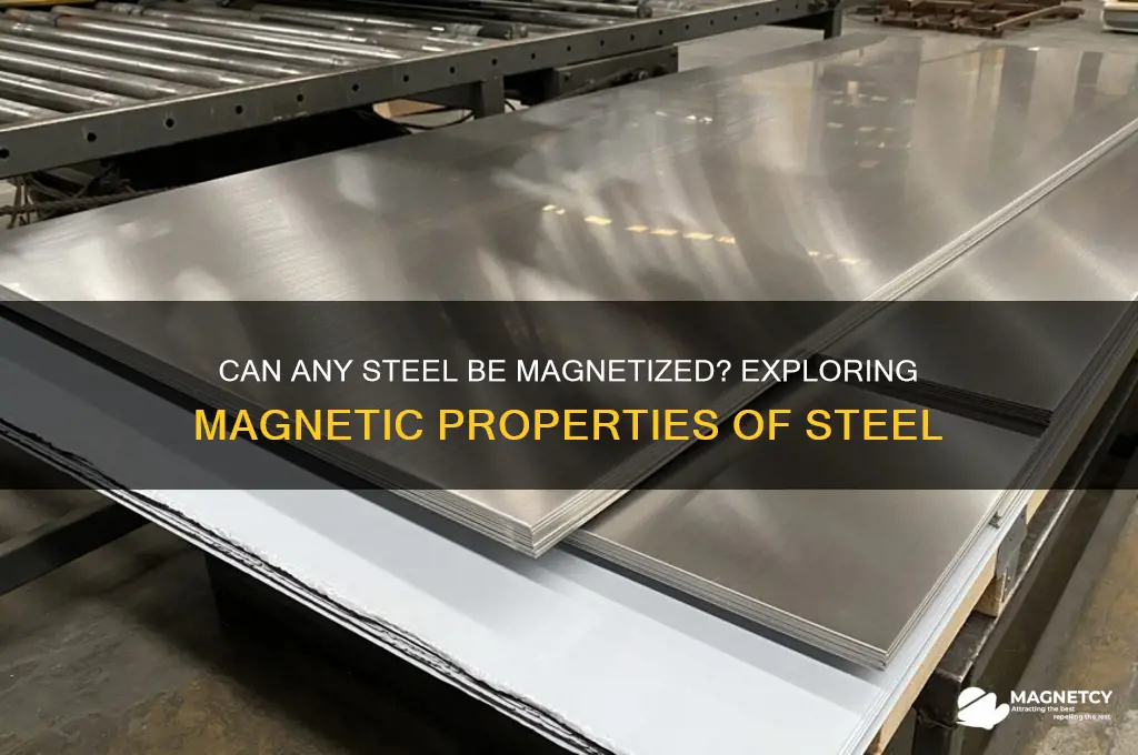 can any steel be magnetized