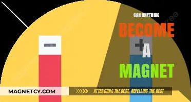 Exploring Magnetism: Can Everyday Objects Transform into Magnets?