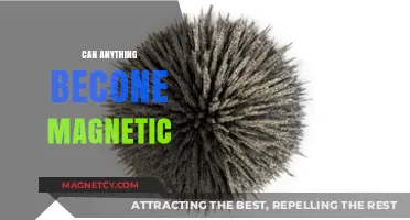Exploring Magnetism: Can Any Material Become Magnetic?