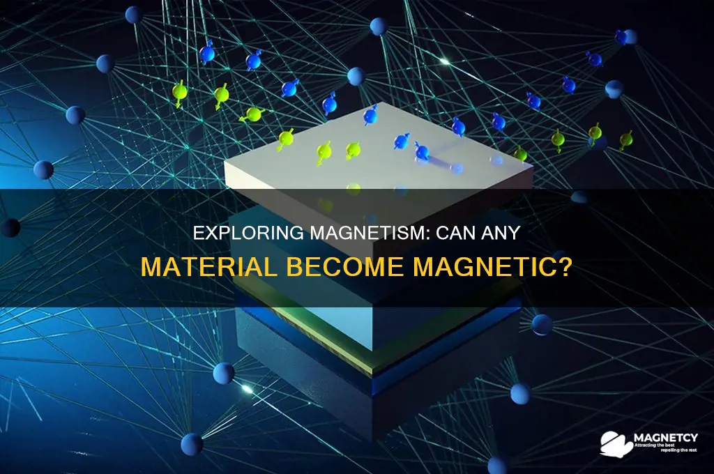 can anything becone magnetic