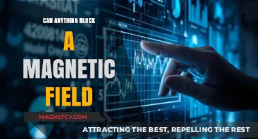 Can Anything Block a Magnetic Field? Exploring Materials and Methods